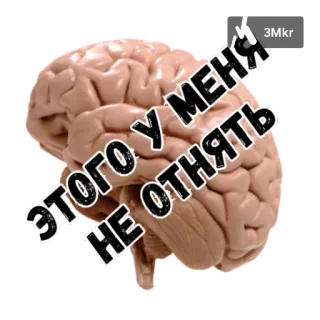 Кресты telegram stickers