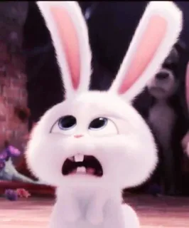 🐰 Snowball The Secret Life of Pets coelho, coelhinho, animal, desenho animado, personagem, animal de estimação whatsapp sticker