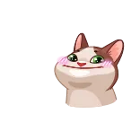 ๐ฉท