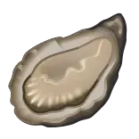 🦪