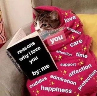 💗 reasons why i love you
by: me
you
love
respect
care
attention time
support
affection
admiration
cuddles
happiness
protection kucing, cinta, kasih sayang, imut, menyenangkan, membaca, positif, dukungan telegram sticker