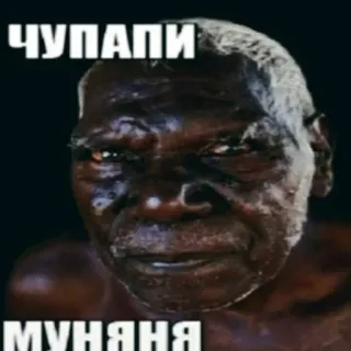 👨 ЧУПАПИ
МУНЯНЯ Meme, Russo, Testo, Faccia, Espressione telegram sticker