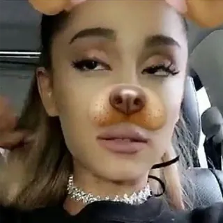 🐶 Ariana Grande cantor, selfie, mulher, filtro de cachorro, colar whatsapp sticker