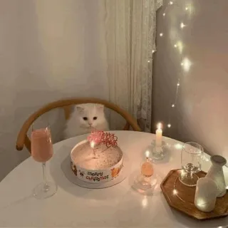 🎂 Merry Christmas gatto, torta, natale, candele, carino, festa telegram sticker