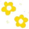 🌺