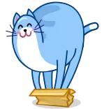 🙂 cat, animal, box, cute, sticker telegram sticker