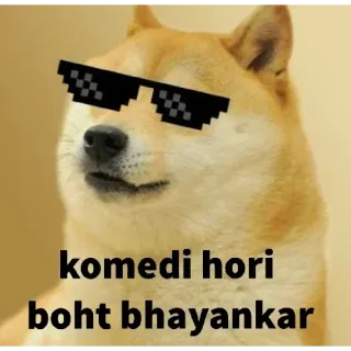😎 komedi hori
boht bhayankar doge, meme, chó, kính râm, hài kịch, đáng sợ, vui nhộn telegram sticker