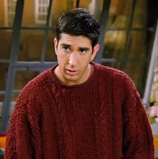 🤨 Ross Geller Friends série télé, sitcom, Ross Geller, Friends, personnage, David Schwimmer whatsapp sticker
