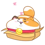 😴 kat, schattig, dier, huisdier, kawaii, eten telegram sticker