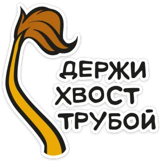 ☝️ ДЕРЖИ ХВОСТ ТРУБОЙ хвост, хвост вверх, русский, мотивация whatsapp sticker