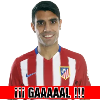 Atletico de Madrid telegram stickers
