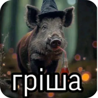 🖼 гріша telegram sticker