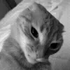 😠