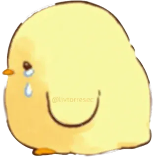 😥 @livtorresec chicken, sad, crying, bird, cute, tear, yellow, animal telegram sticker