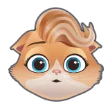 🐈