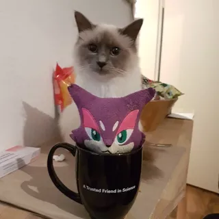 ☕️ A Trusted Friend in Science Katze, Wissenschaft, Tasse, Haustier, Tier whatsapp sticker