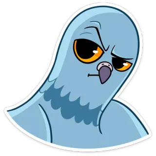 🤨 นกพิราบ, นก, โกรธ, การ์ตูน telegram sticker
