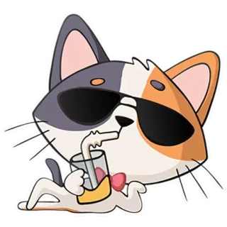 😎 Katze, Sticker, Sonnenbrille, Getränk, Cool, Süß, Cartoon telegram sticker