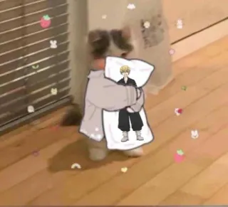 😳 Katze, Anime, süß, Umarmung, Kissen, kawaii whatsapp sticker