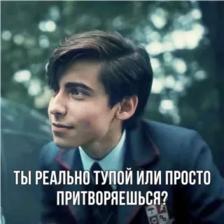 🙃 ТЫ РЕАЛЬНО ТУПОЙ ИЛИ ПРОСТО ПРИТВОРЯЕШЬСЯ? persona, ragazzo, ritratto, russo, domanda whatsapp sticker
