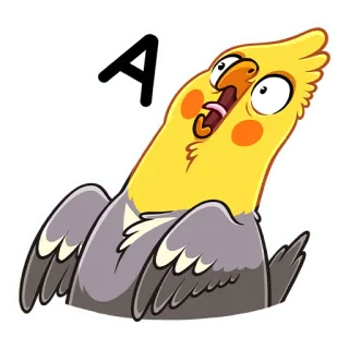 😲 A calopsita, pássaro, papagaio, animal, adesivo, desenho animado telegram sticker