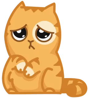😔 cat, sad, cute, pet, kitten, orange telegram sticker