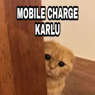🍁 MOBILE CHARGE KARLU Katze, lustig, Meme, Tier, süß, Handy laden telegram sticker