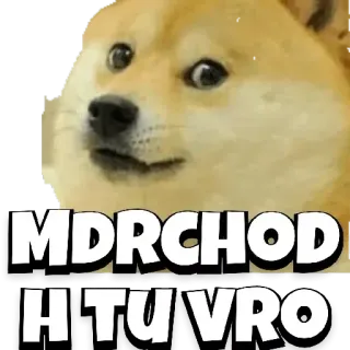 😒 MDRCHOD
H TU VRO doge, meme, ofensivo telegram sticker