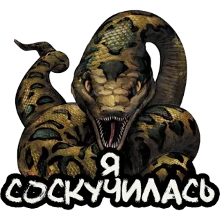 🐍 Я СОСКУЧИЛАСЬ ヘビ, 動物, ロシア, テキスト, 爬虫類, パイソン telegram sticker