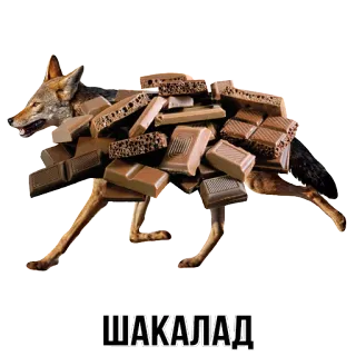 🐆 ШАКАЛАД dog, chocolate, jackal, dessert whatsapp sticker