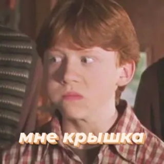 😟 Ron Weasley Harry Potter мне крышка harry potter, ron weasley, meme, funny, russian, text, sticker telegram sticker