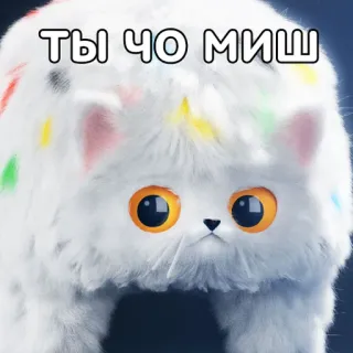 🤨 ТЫ ЧО МИШ Katze, Tier, süß, lustig, Meme, russisch telegram sticker