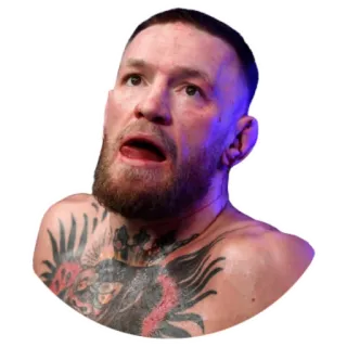 😲 Conor McGregor 康纳·麦格雷戈, 综合格斗, UFC, 格斗选手, 体育, 运动员 telegram sticker