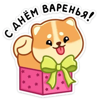 🎁 С Днём ВАРЕНЬЯ! 개, 생일, 강아지, 인사, 상자, 귀여운 telegram sticker