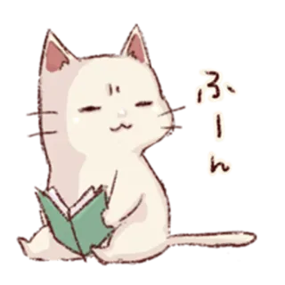 😒 ふーん kot, czytanie, książka, słodki, kawaii, zwierzę telegram sticker