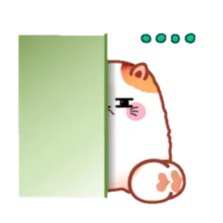 😒 gato, espiando, fofo, animal, tímido, espiar, kawaii telegram sticker