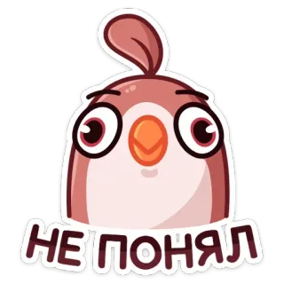 🐦 НЕ ПОНЯЛ ptak, zmieszany, naklejka, kreskówka telegram sticker