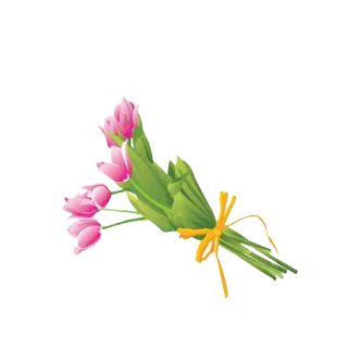 😃 tulipani, fiori, bouquet, rosa, nastro giallo telegram sticker