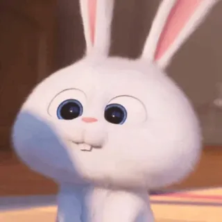 🐰 Snowball The Secret Life of Pets Hase, Kaninchen, weiß, Tier, Cartoon, niedlich telegram sticker