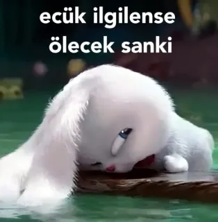 😒 ecük ilgilense ölecek sanki 토끼, 슬픈, 흰색, 만화, 귀여운 whatsapp sticker
