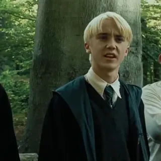 🐍 Draco Malfoy Harry Potter Draco Malfoy, Harry Potter, Slytherin, Mago, Tom Felton whatsapp sticker