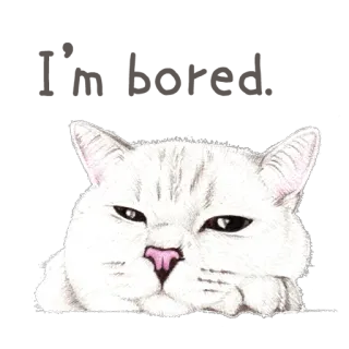 😔 고양이, 동물, 애완동물, 새끼 고양이, 귀여운, 흰 고양이 telegram sticker