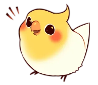 😀 pássaro, calopsita, fofo, animal, amarelo, adesivo telegram sticker