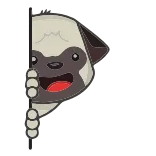 🐶 dog, peeking, animal, cartoon, cute, funny telegram sticker