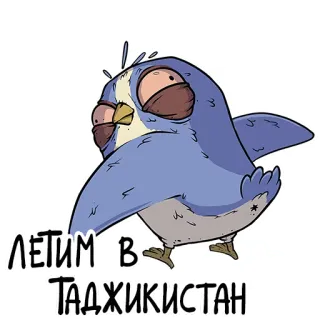 🤡 ЛЕТИМ В ТАДЖИКИСТАН burung, perjalanan, Tajikistan, kartun, terbang, tujuan whatsapp sticker