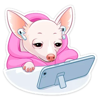 🎧 cachorro, chihuahua, fones de ouvido, celular, fofo, animal de estimação, animal whatsapp sticker