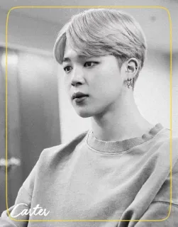 ◾️ Carter retrato, homem, pessoa, homem, celebridade whatsapp sticker