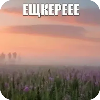 🌌 ЕЩКЕРЕЕЕ 밈, 일몰, 필드, 풍경 telegram sticker