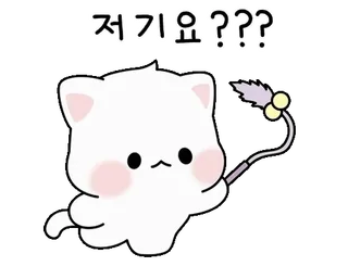 ❤️ 저기요 ??? mèo, dễ thương, mèo con, hoạt hình, động vật, kawaii whatsapp sticker
