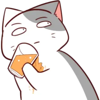 😦 mèo, uống, nước cam, hoạt hình, động vật, hài hước, meme, ngớ ngẩn telegram sticker